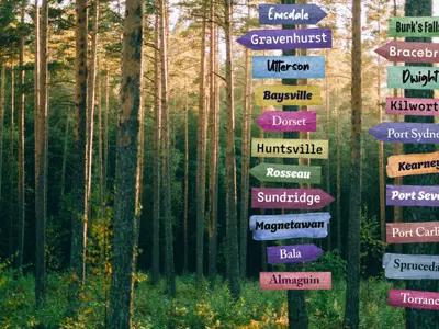 Made-in-Muskoka Healthcare branding